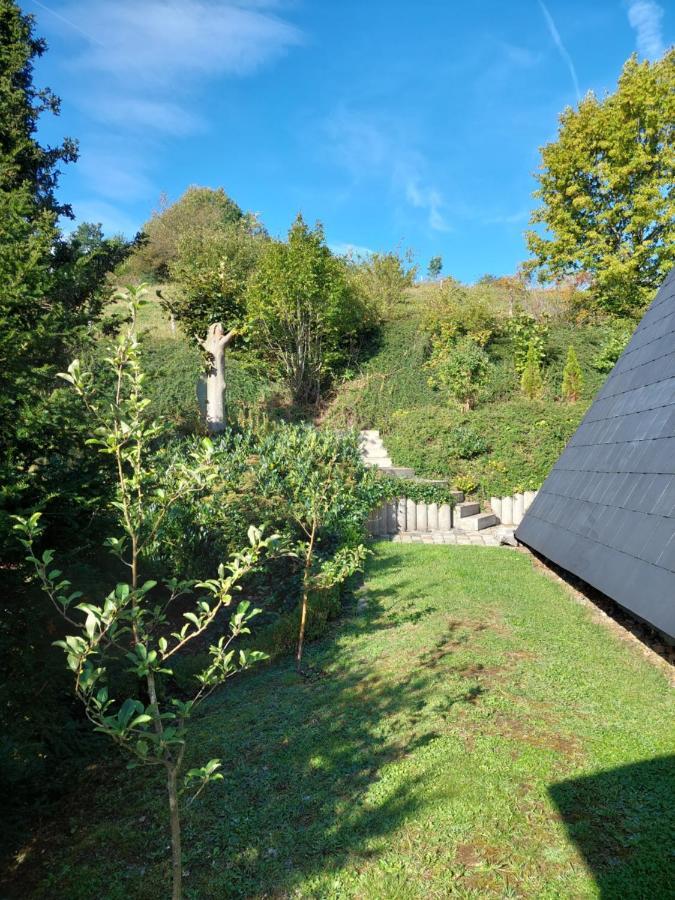 Haus Am Willingen Holiday home Willingen (Upland)