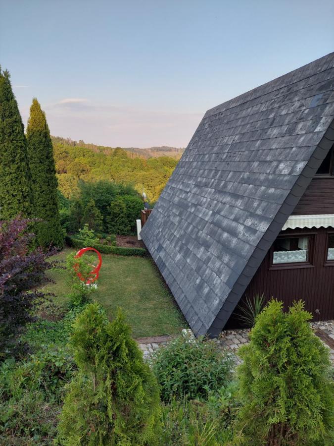Haus Am Willingen Holiday home *